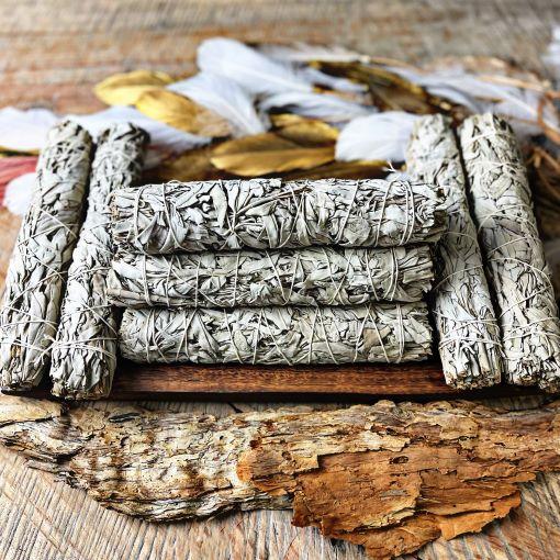 Large White Sage Smudge (22-23cm)- Tool Rolled - 10 Pack